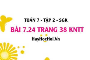 Bài 7.24 trang 38 Toán 7 Tập 2 Kết nối tri thức